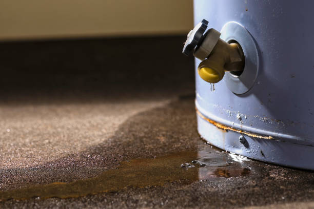 Best Sewage cleanup and water damage restoration  in Loma, CO