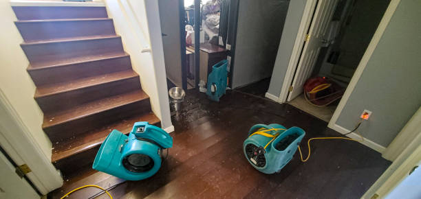 Best Flood restoration services  in Loma, CO