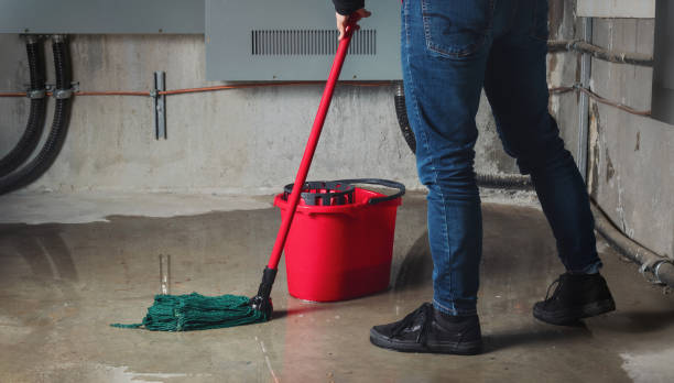 Best Professional water damage repair  in Loma, CO