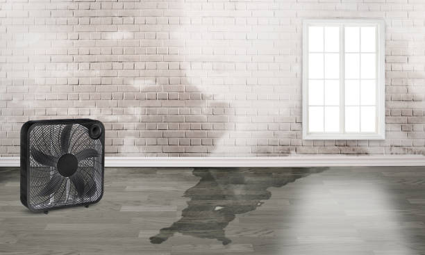  Loma, CO Water damage restoration Pros