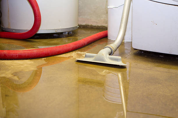 Professional Water damage restoration in Loma, CO