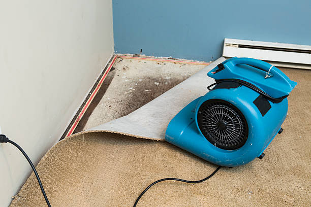 Best Flooded house restoration  in Loma, CO